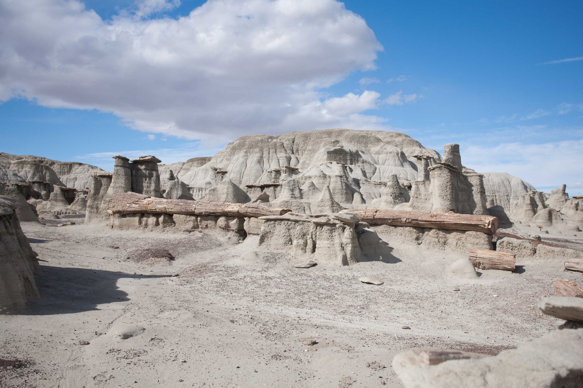 Dog-Friendly Day Trip to New Mexico's Bisti Badlands