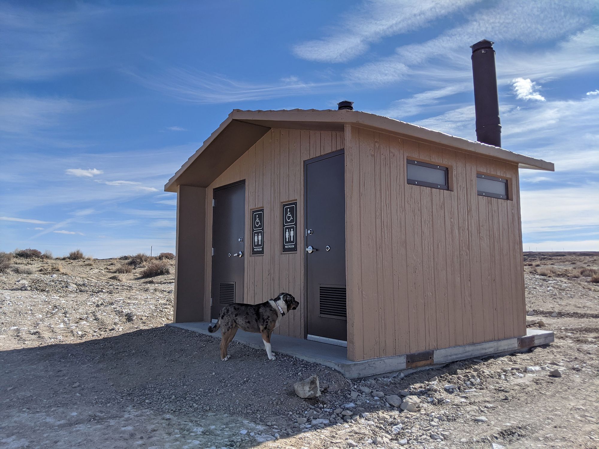 Dog-Friendly Day Trip to New Mexico's Bisti Badlands