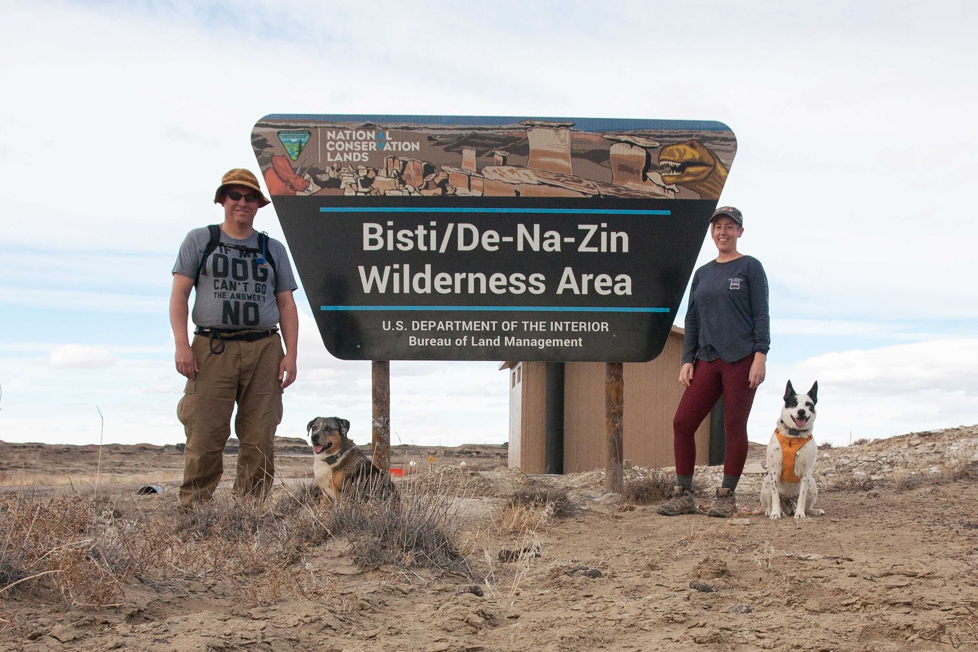 Dog-Friendly Day Trip to New Mexico's Bisti Badlands