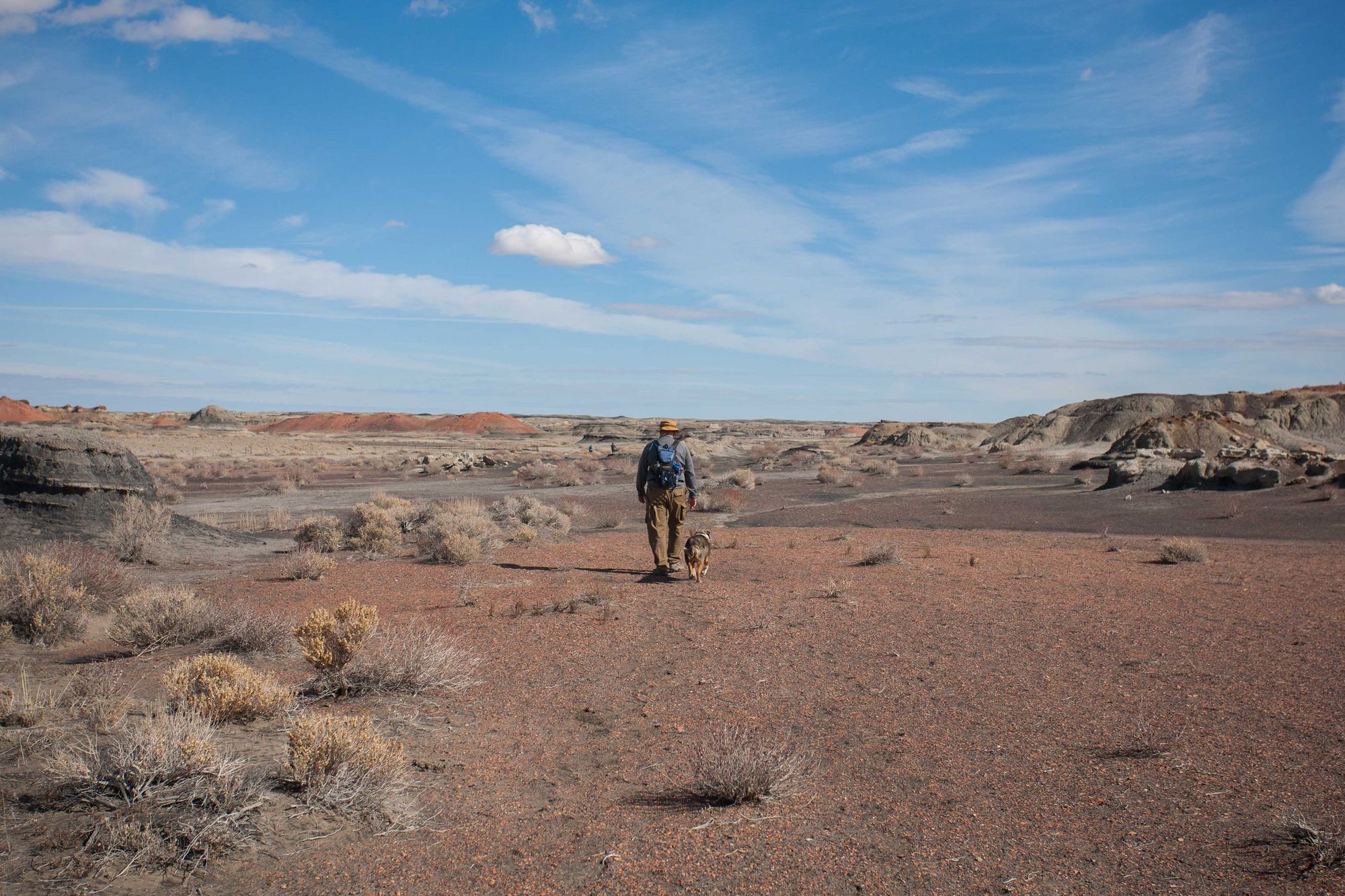 Dog-Friendly Day Trip to New Mexico's Bisti Badlands