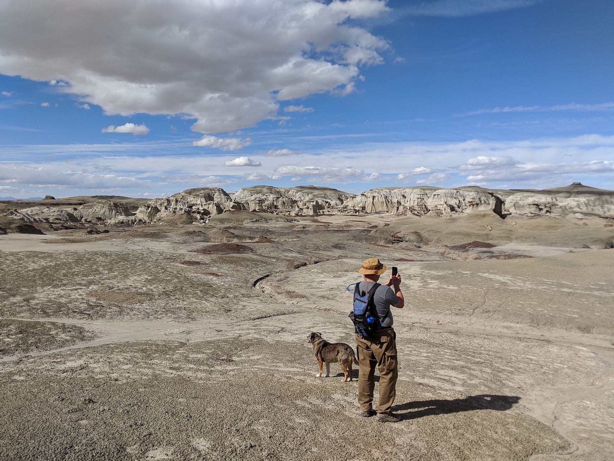 Dog-Friendly Day Trip to New Mexico's Bisti Badlands