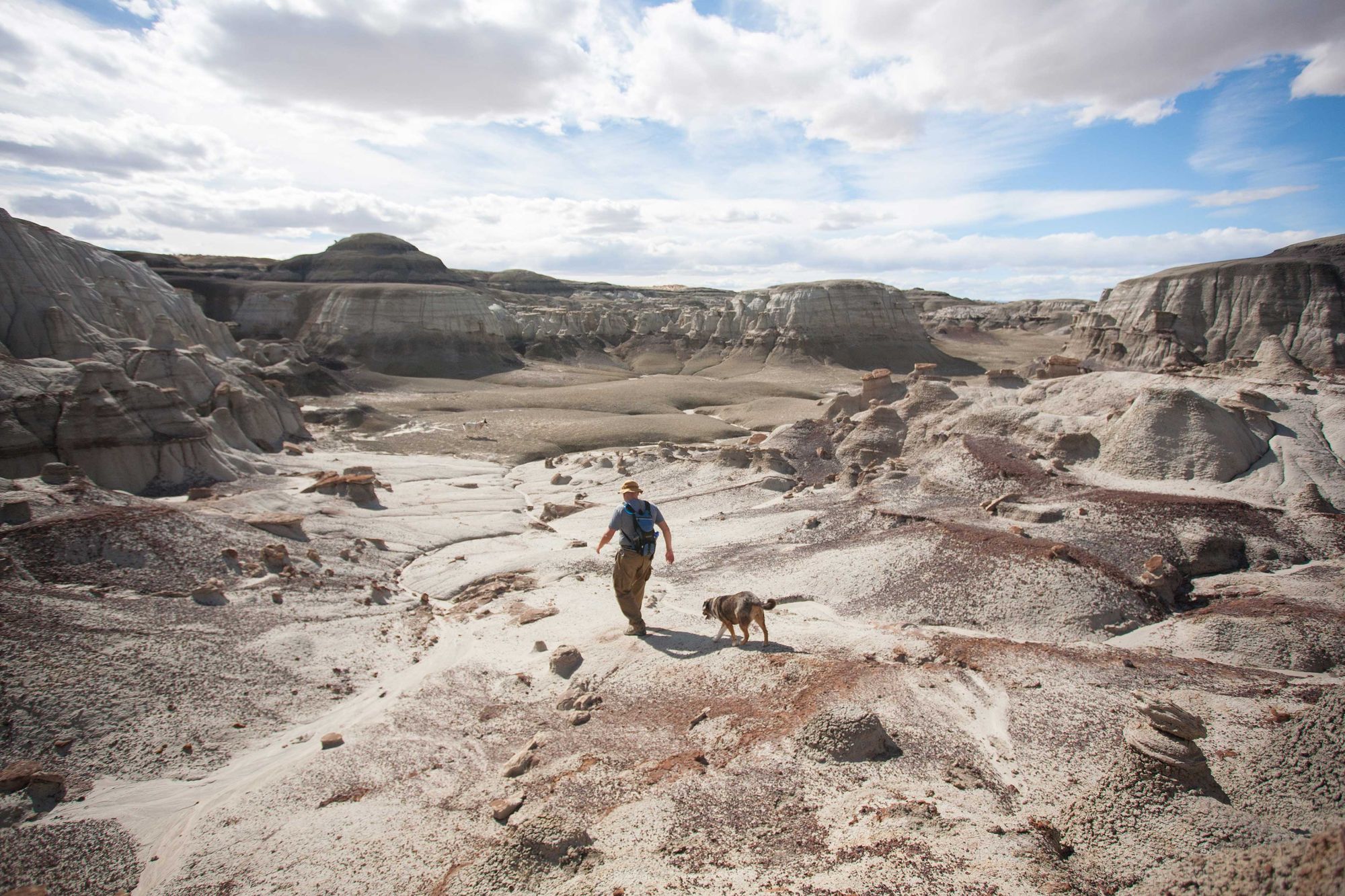 Dog-Friendly Day Trip to New Mexico's Bisti Badlands