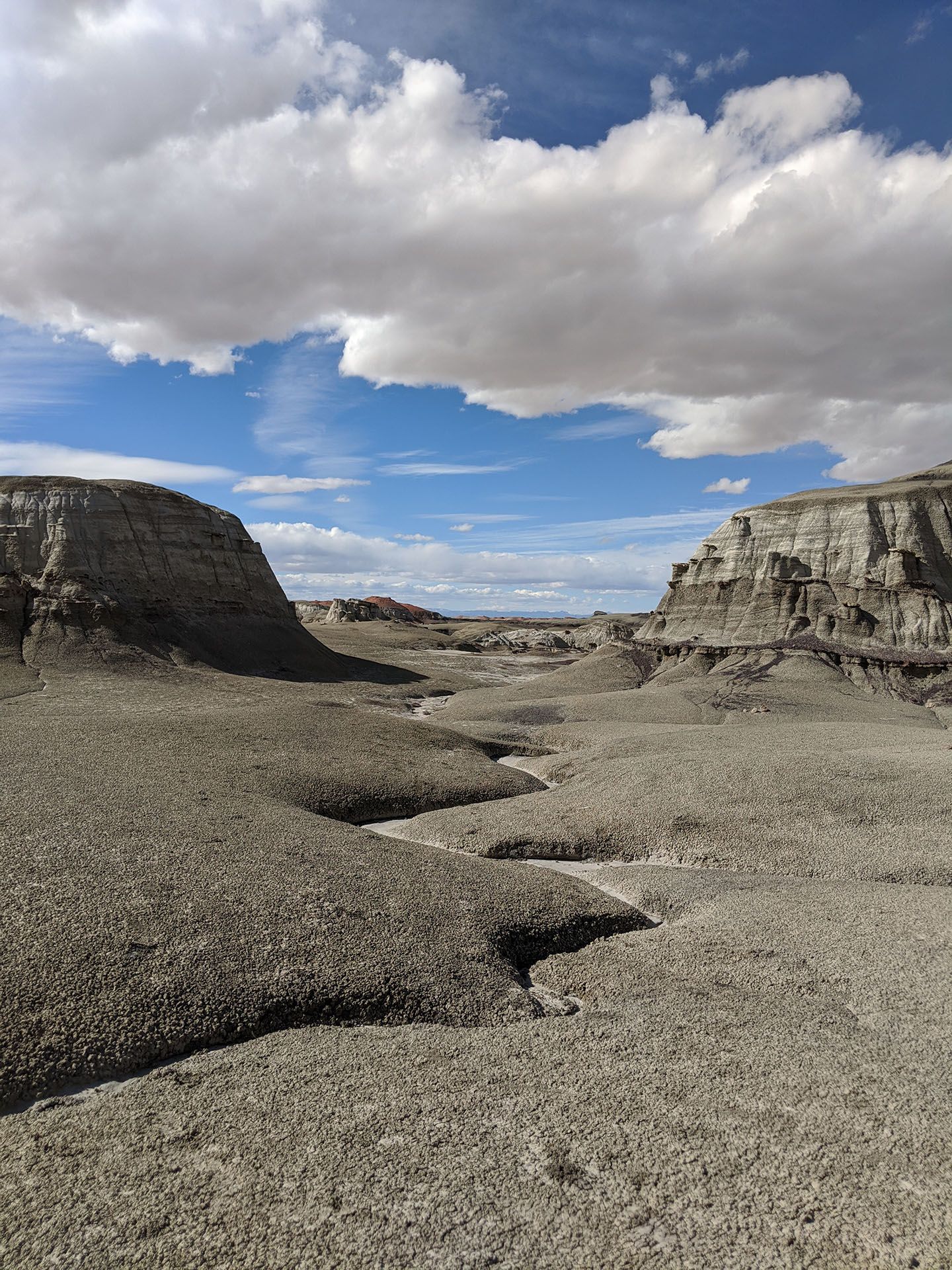 Dog-Friendly Day Trip to New Mexico's Bisti Badlands