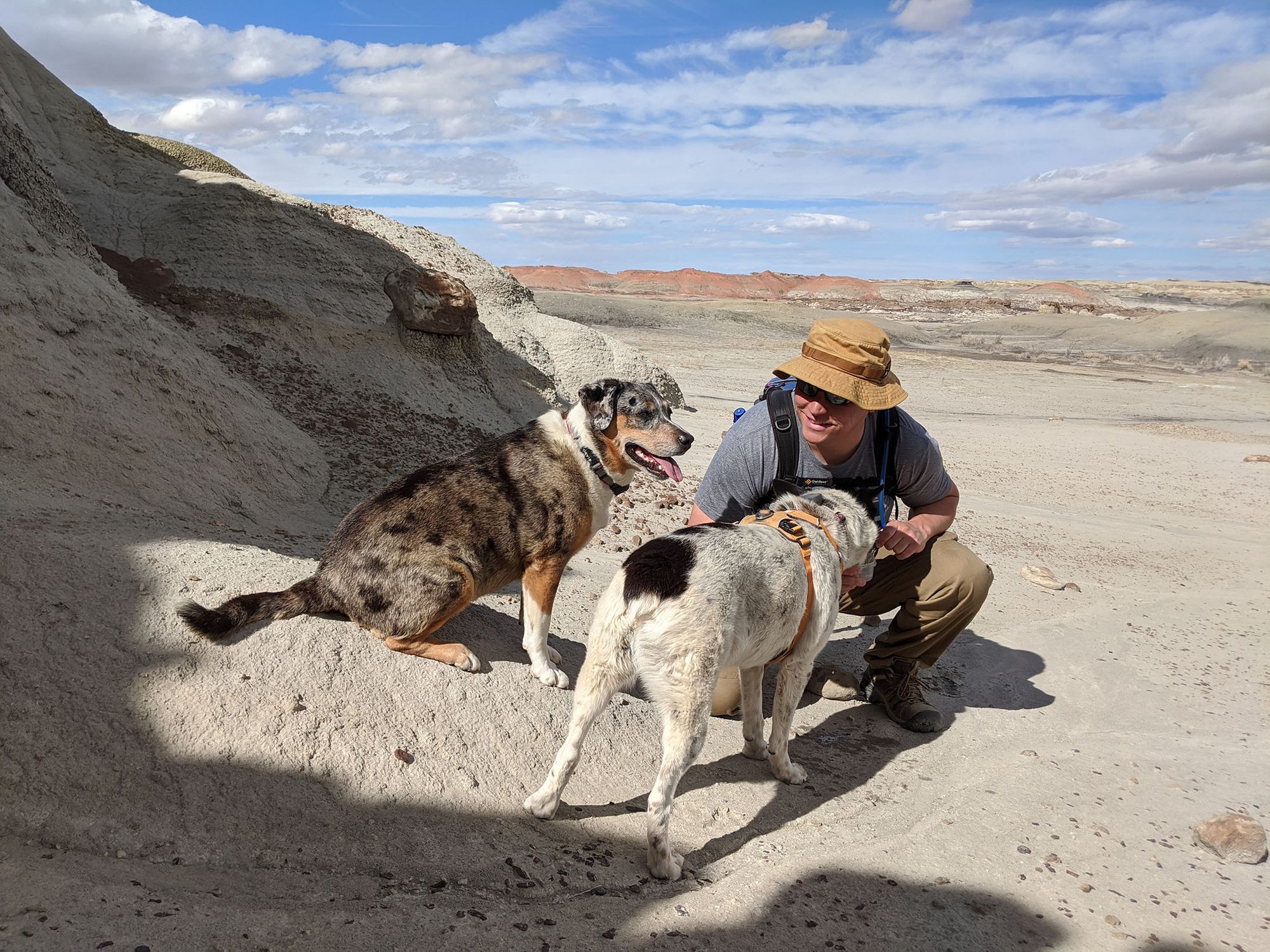 Dog-Friendly Day Trip to New Mexico's Bisti Badlands