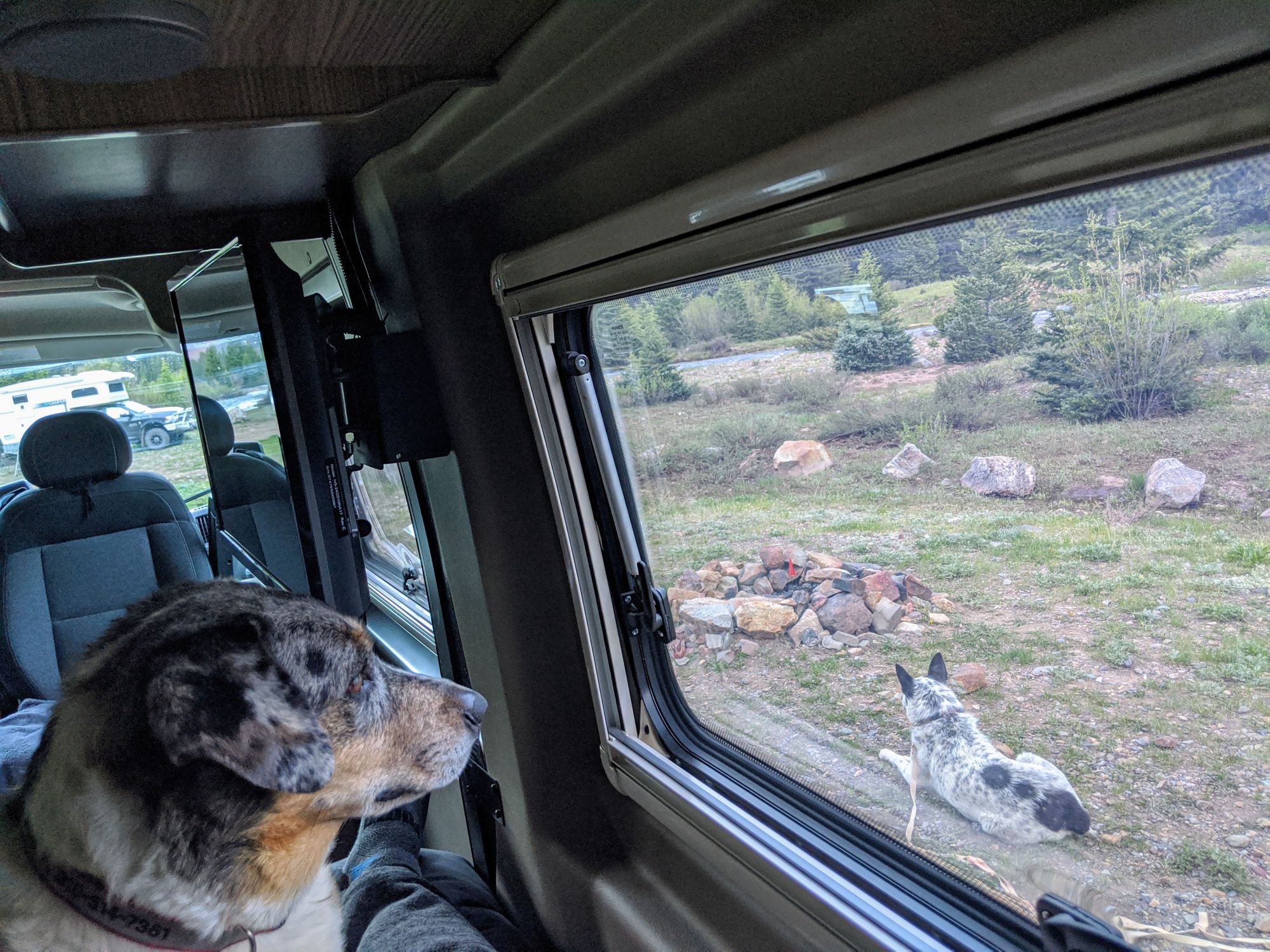 Exploring Dog-Friendly Silverton & Ouray, CO