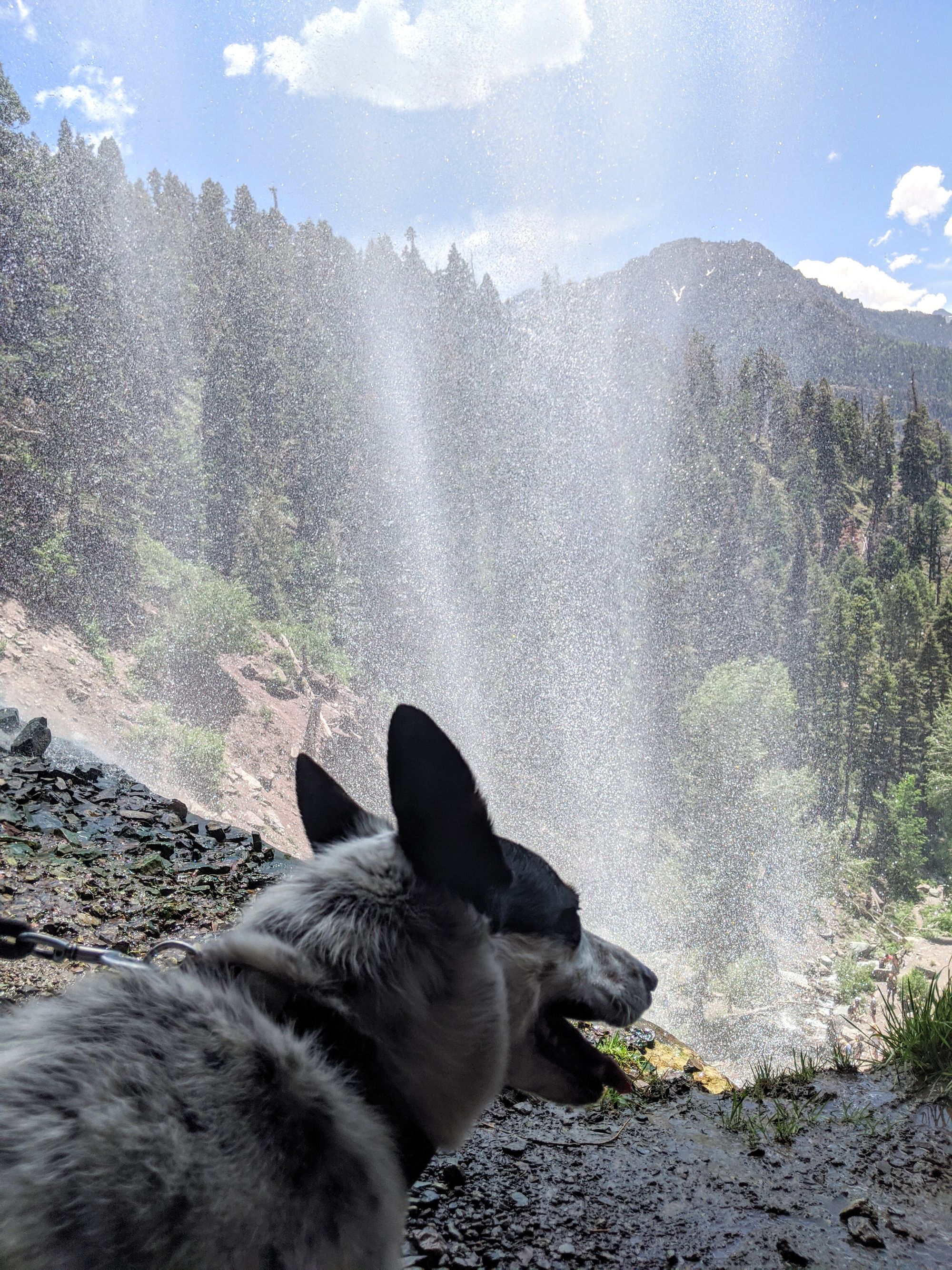 Exploring Dog-Friendly Silverton & Ouray, CO