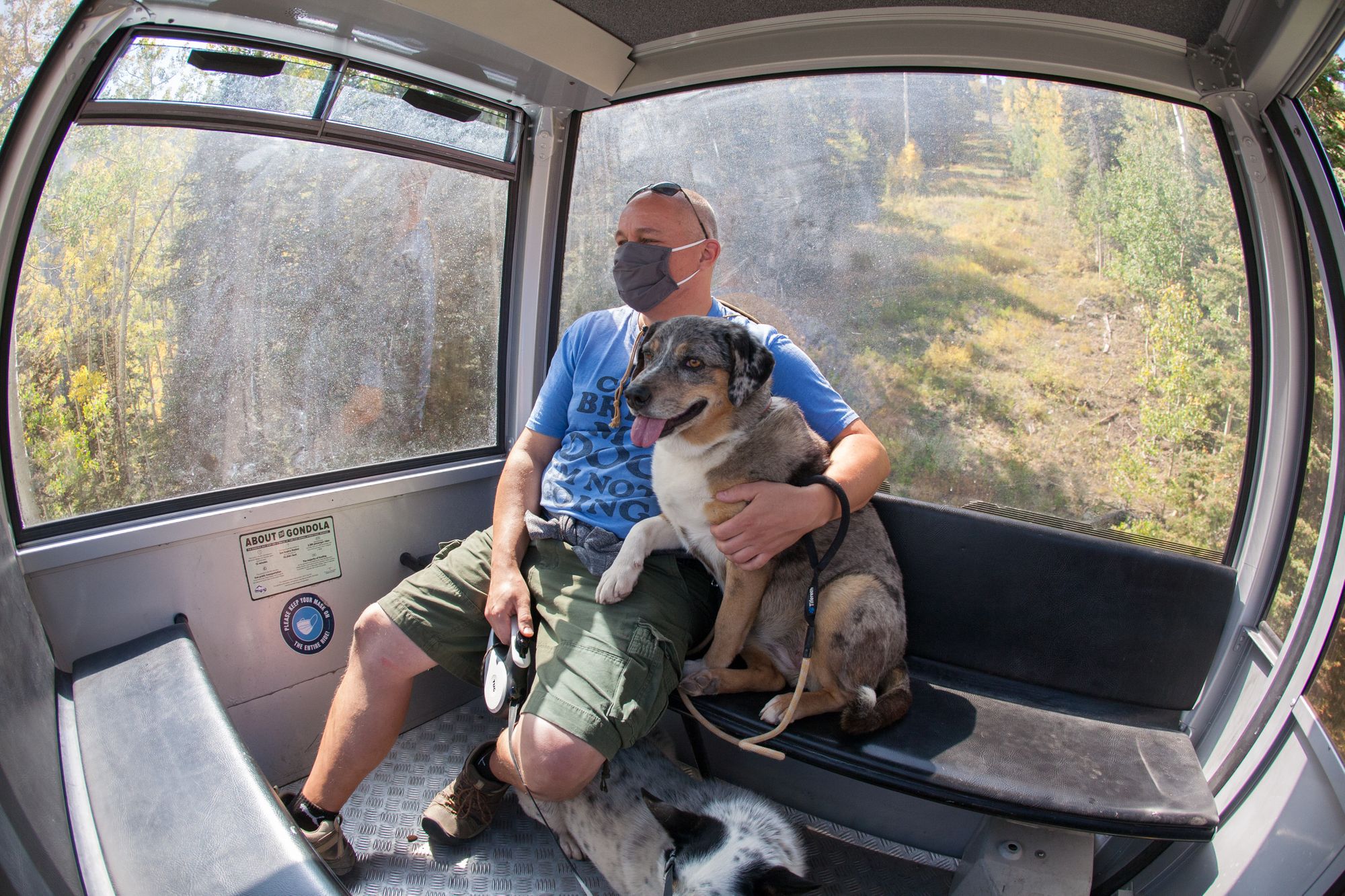 A Dog-Friendly Visit to Telluride, Colorado