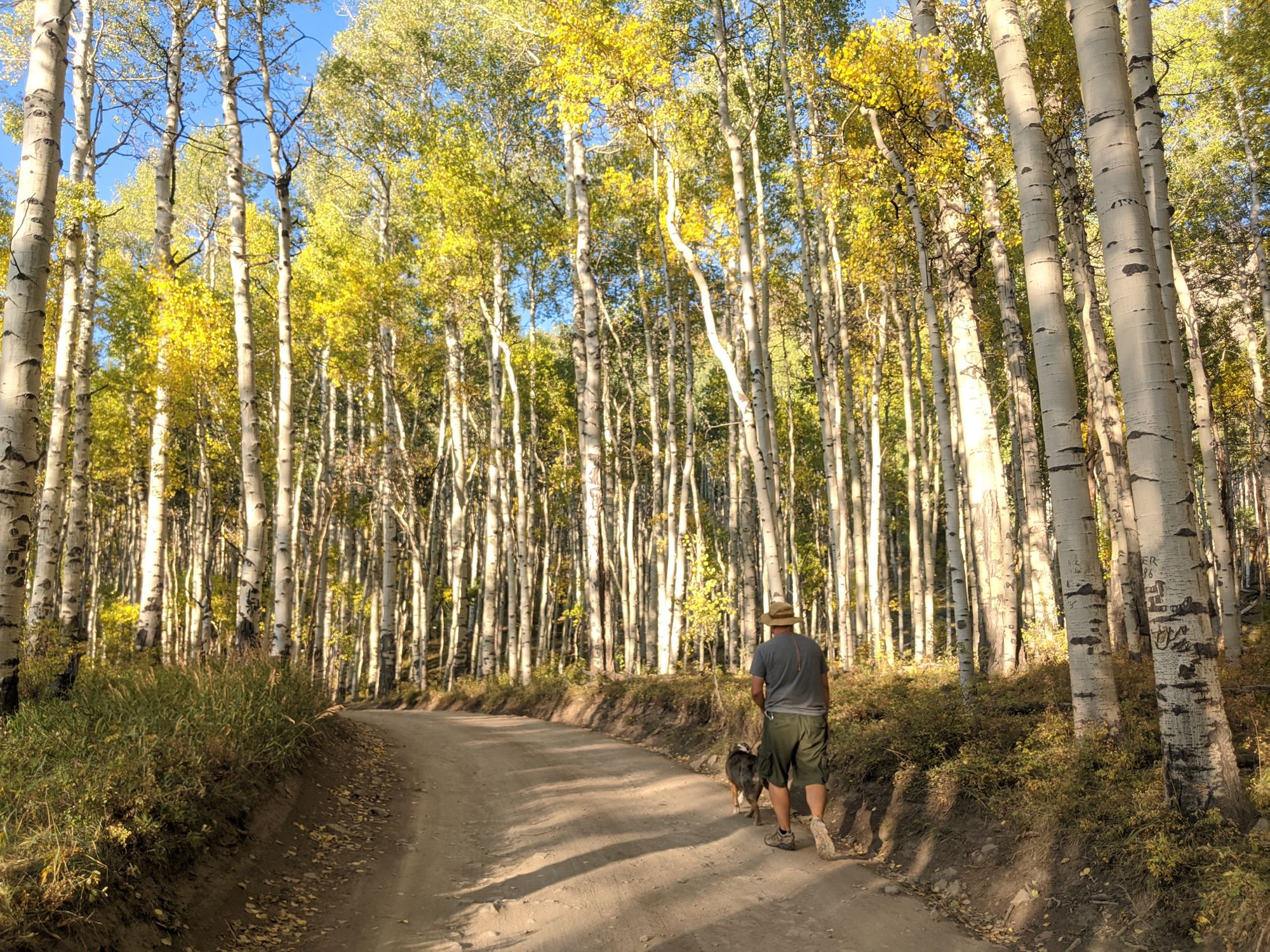 A Dog-Friendly Visit to Telluride, Colorado