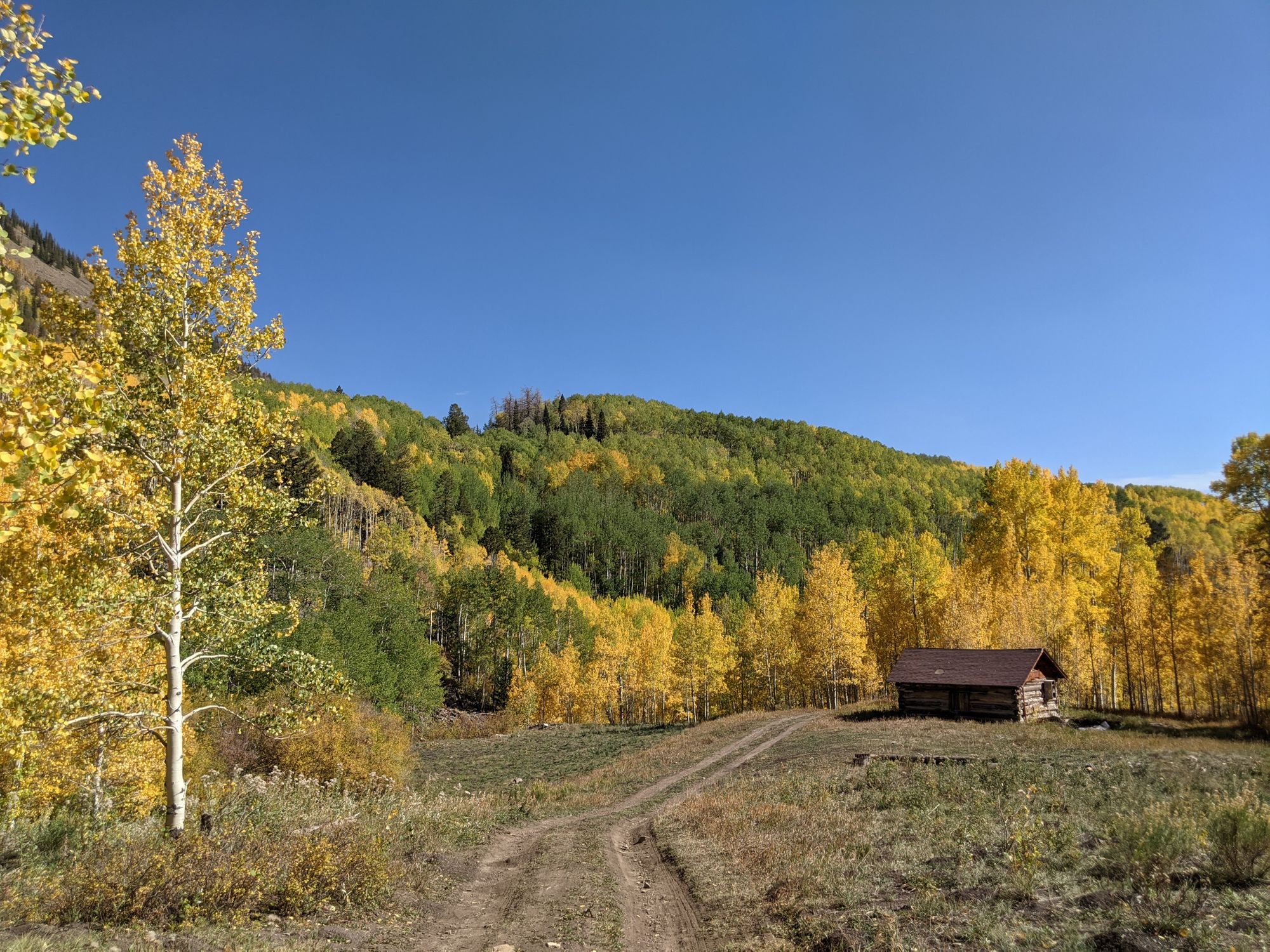 A Dog-Friendly Visit to Telluride, Colorado