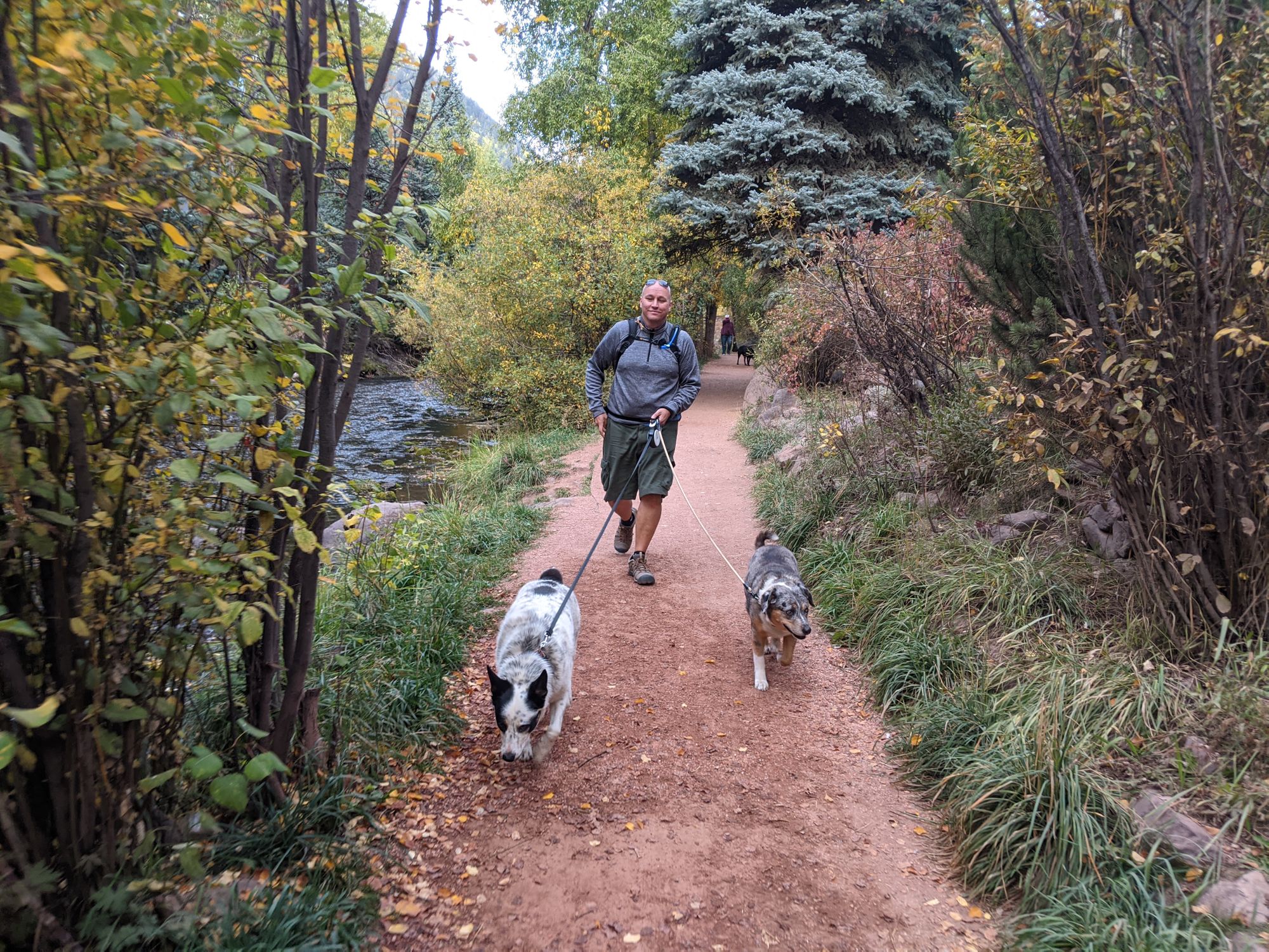 A Dog-Friendly Visit to Telluride, Colorado