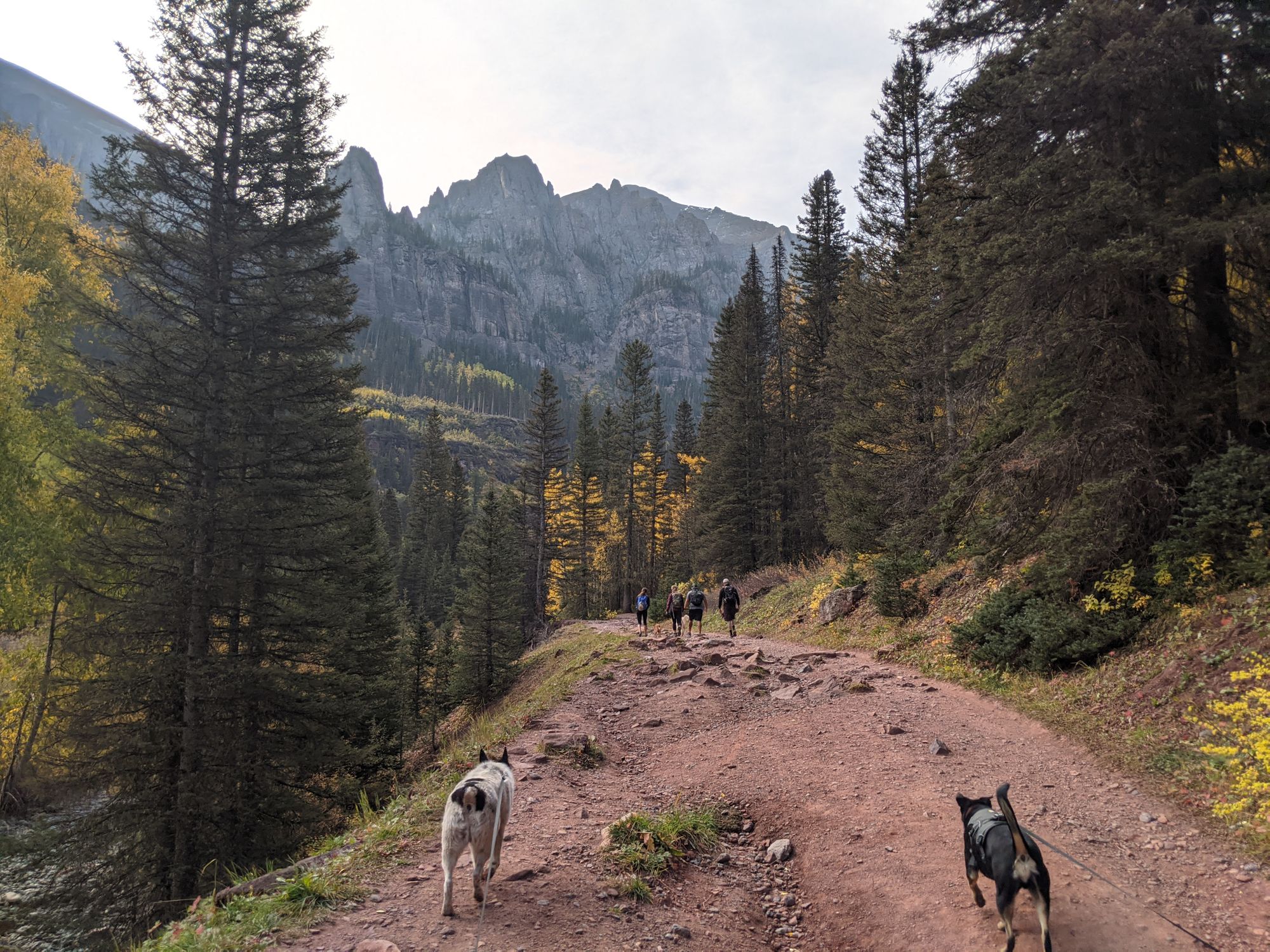 A Dog-Friendly Visit to Telluride, Colorado