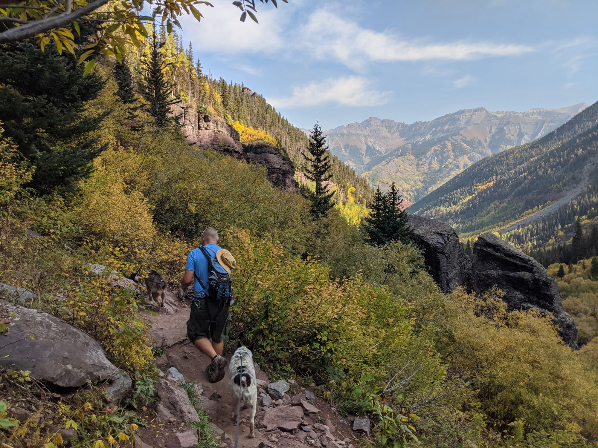 A Dog-Friendly Visit to Telluride, Colorado