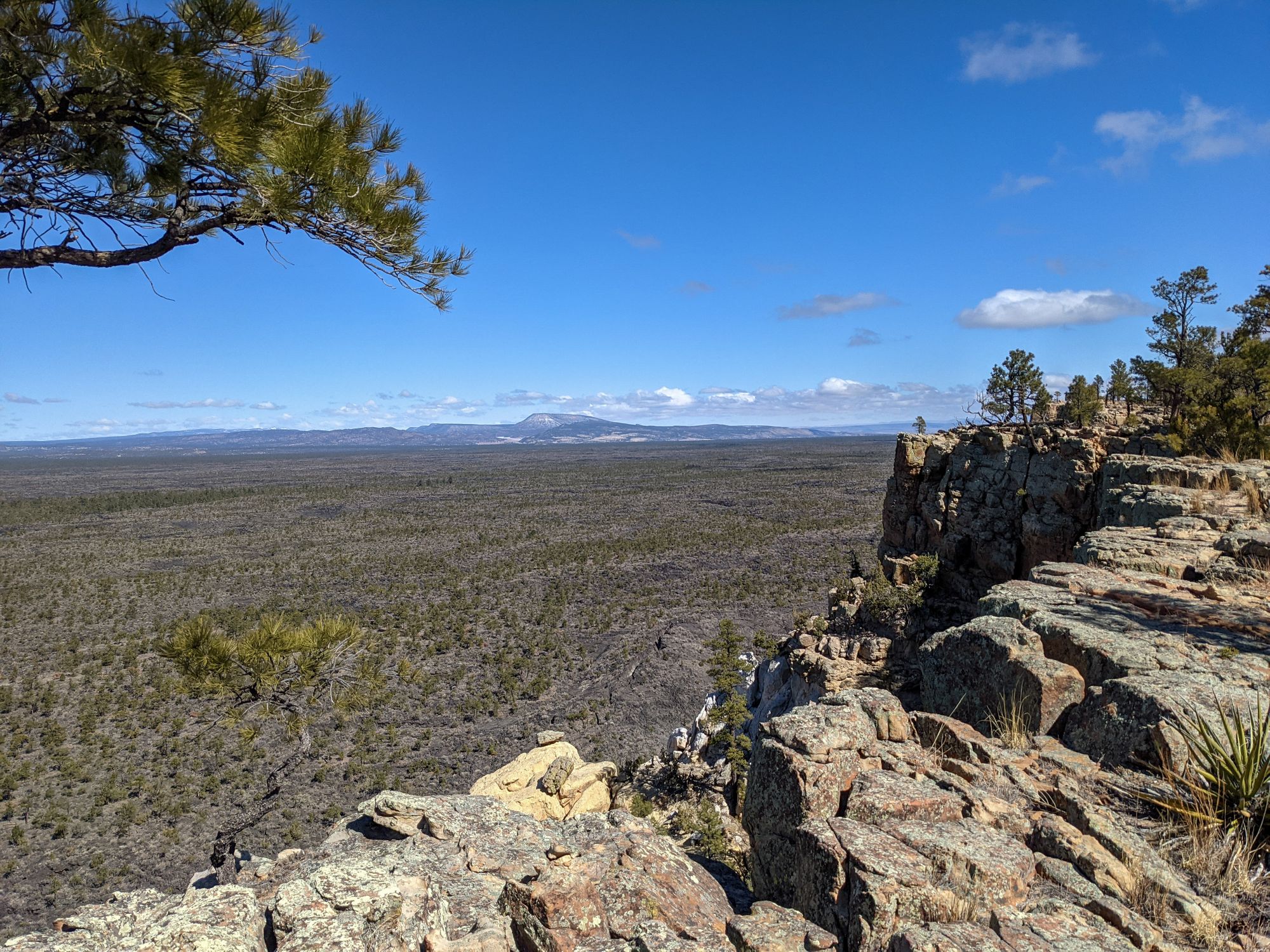 Visiting El Malpais National Monument with Dogs