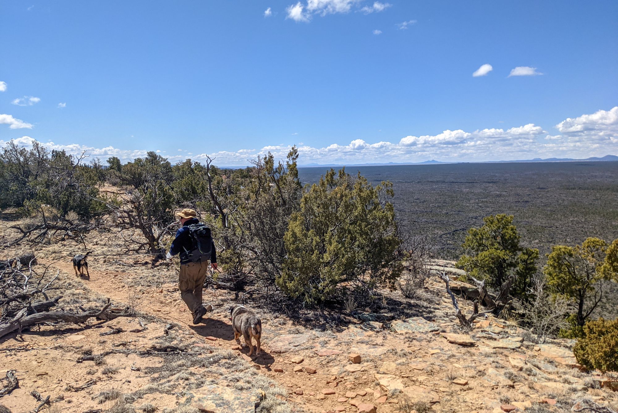 Visiting El Malpais National Monument with Dogs