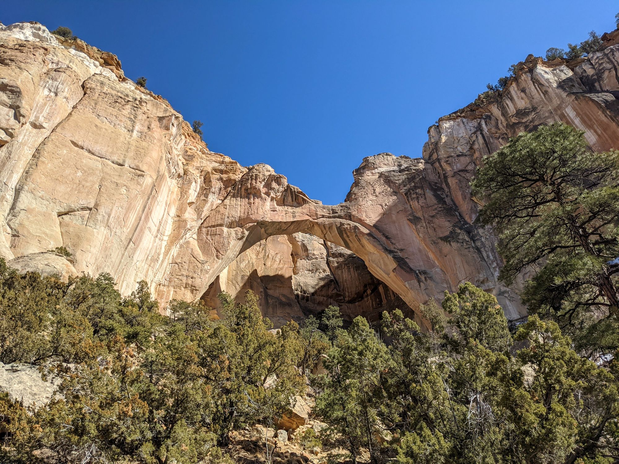 Visiting El Malpais National Monument with Dogs