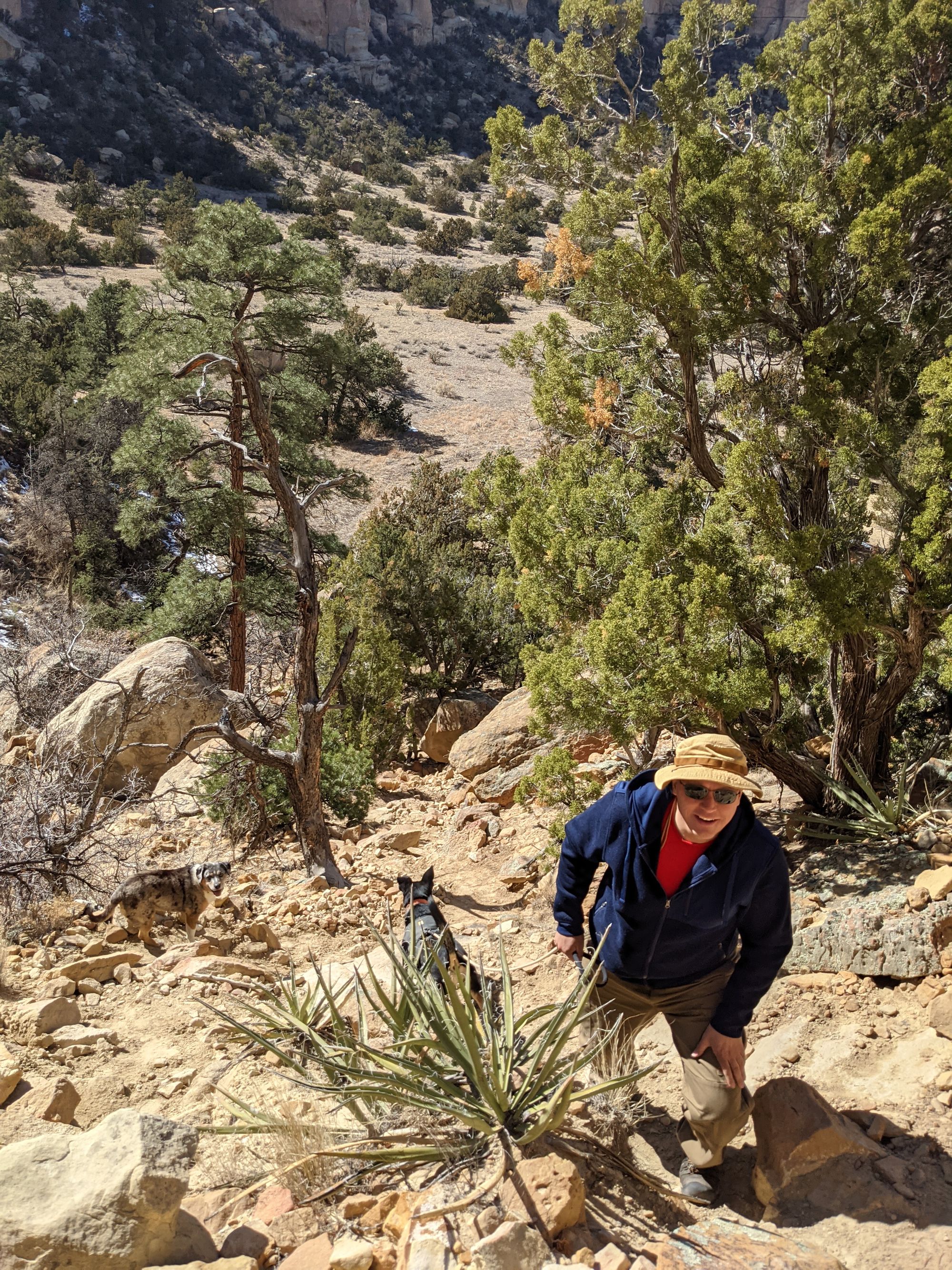 Visiting El Malpais National Monument with Dogs