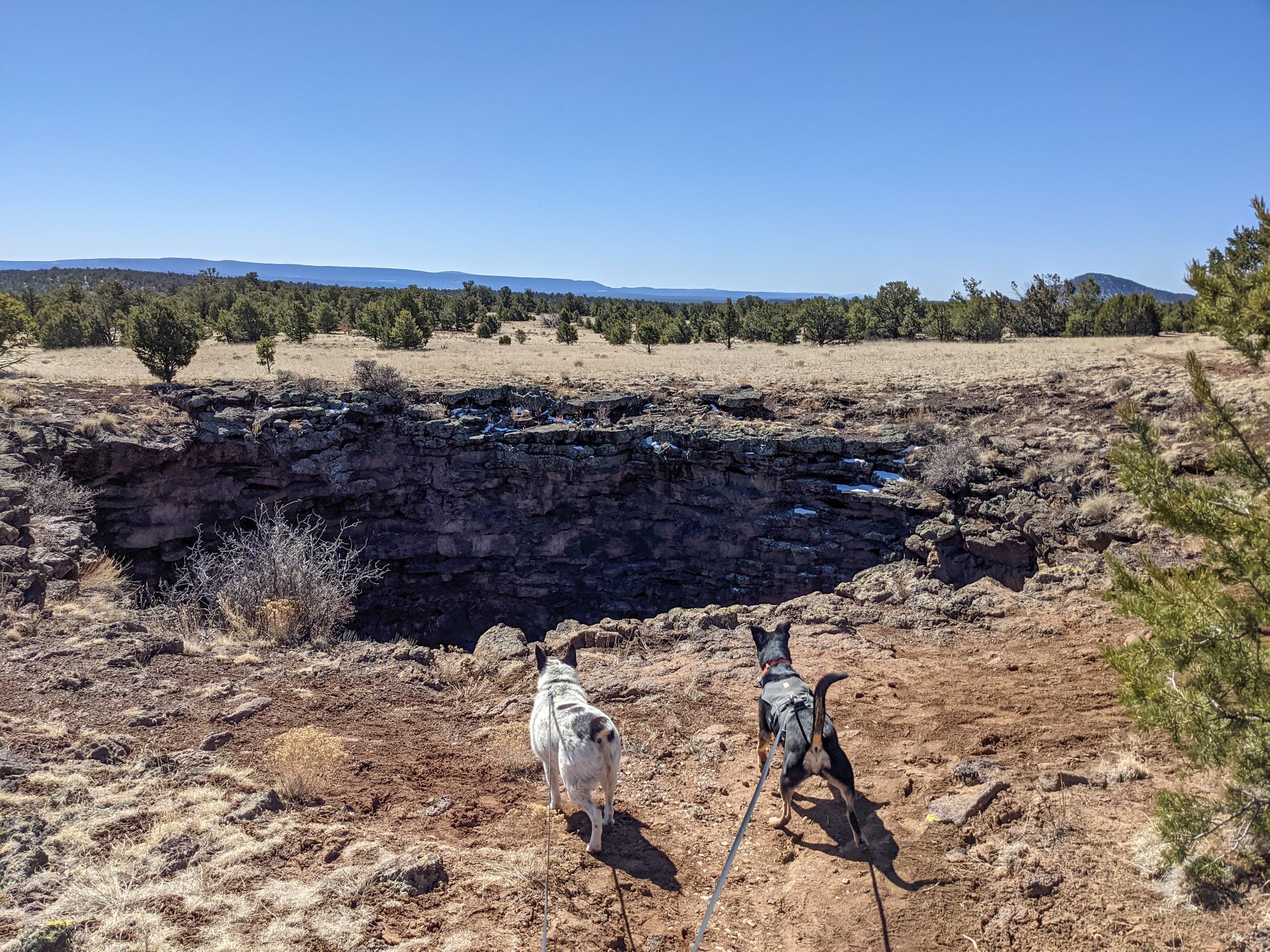 Visiting El Malpais National Monument with Dogs