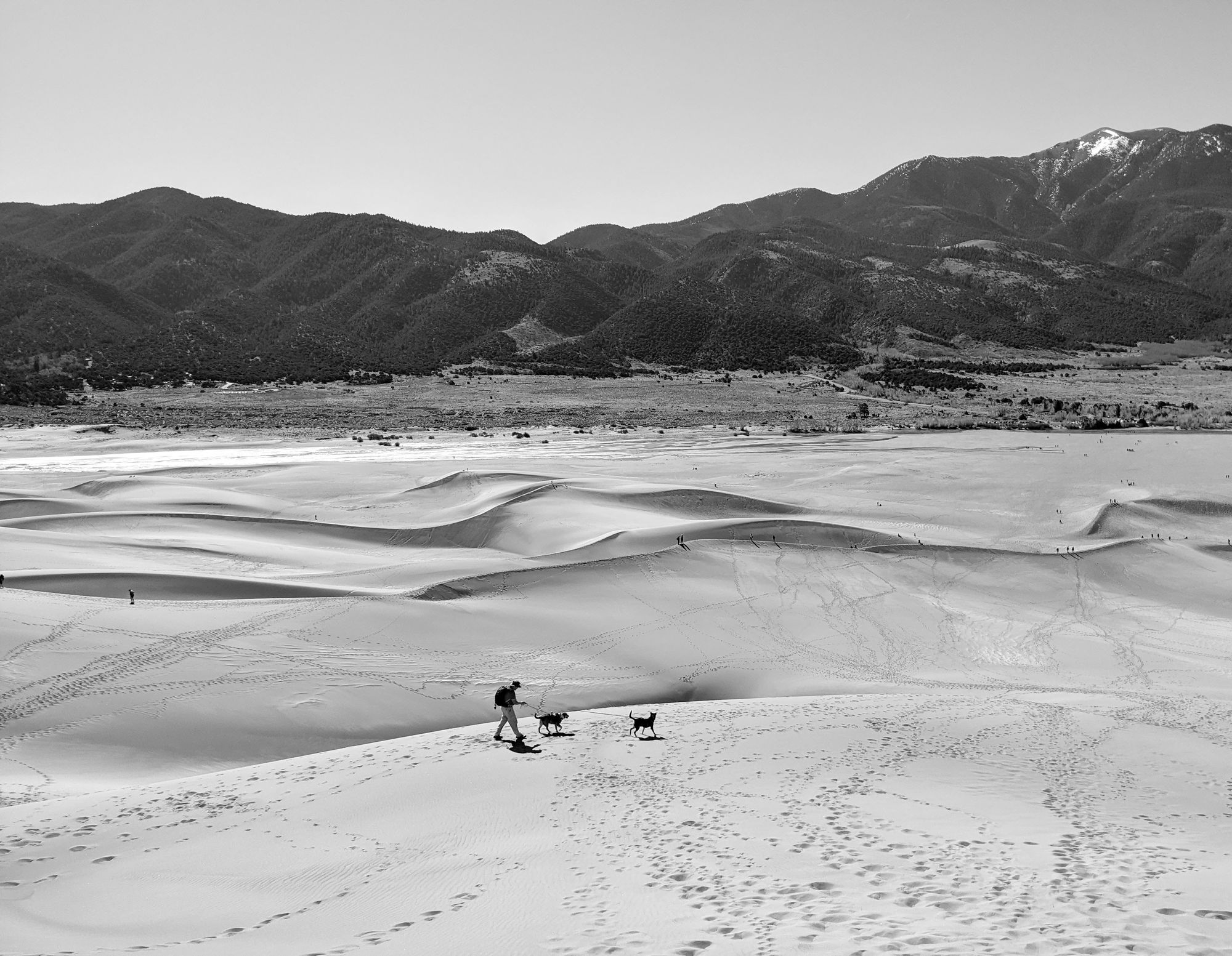 Visiting Great Sand Dunes National Park with Dogs