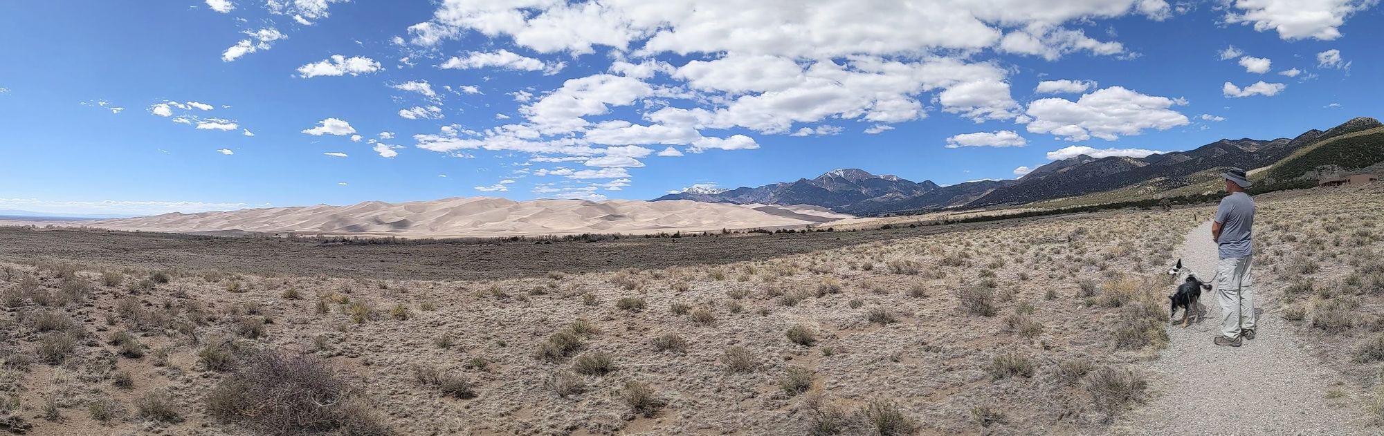 Visiting Great Sand Dunes National Park with Dogs