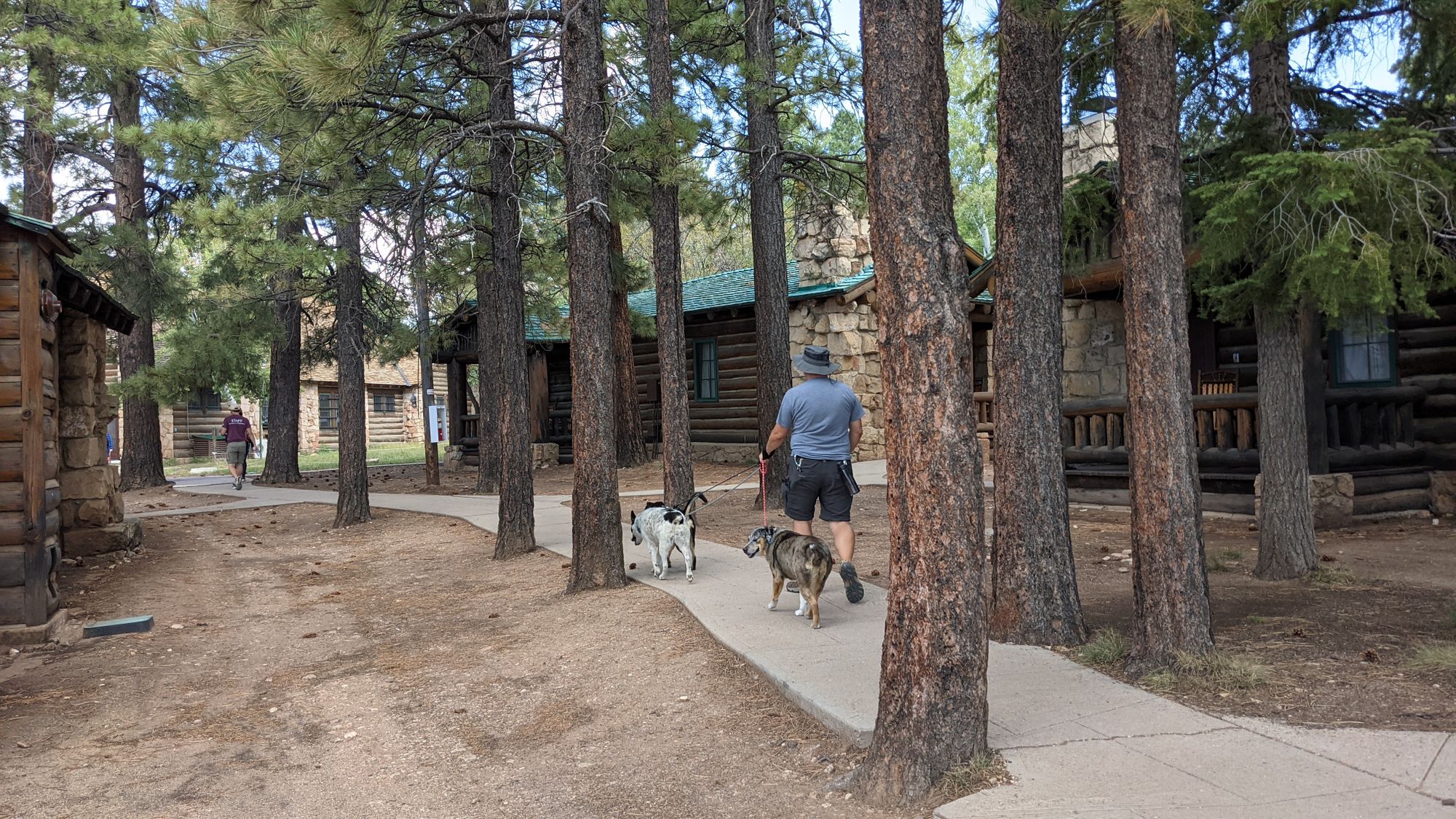 Grand Canyon North Rim with Dogs