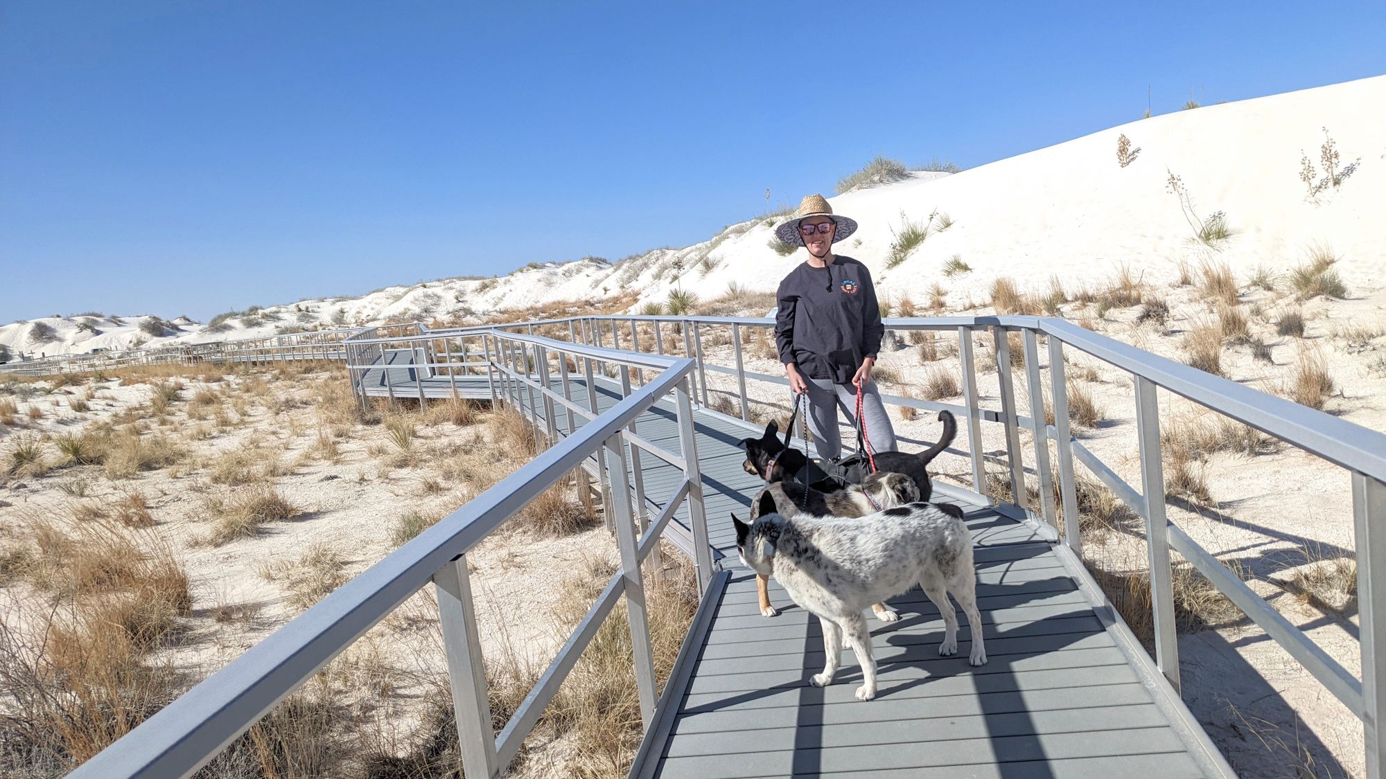 Visiting White Sands National Park with Dogs