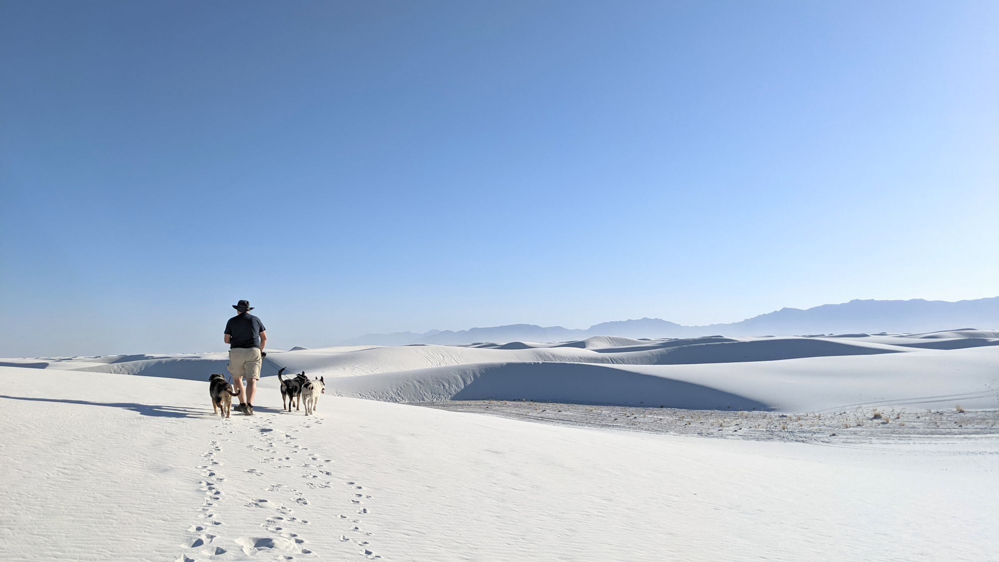 Visiting White Sands National Park with Dogs