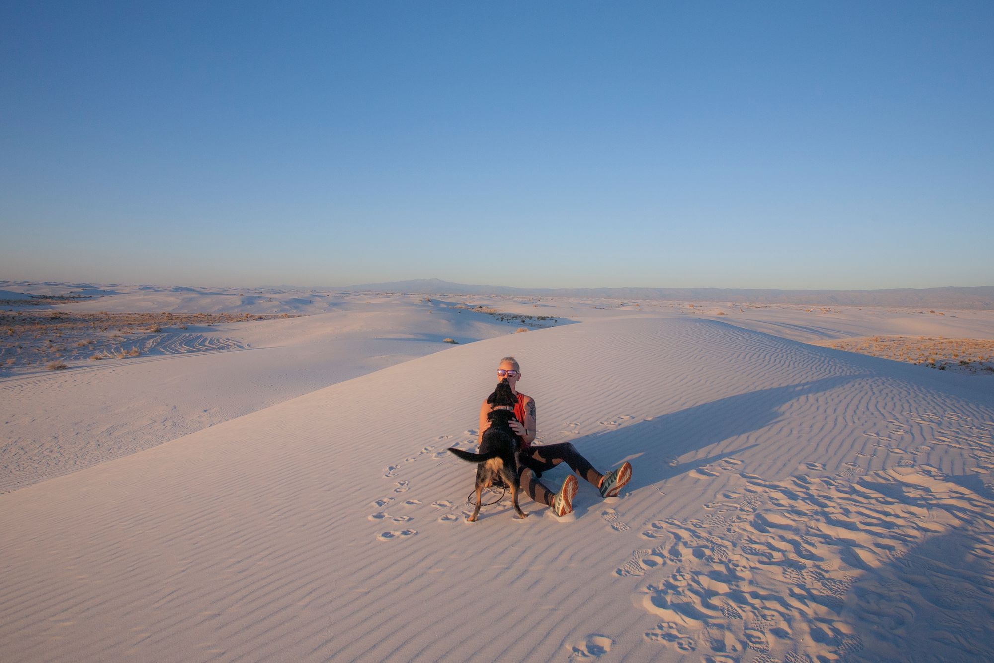 Visiting White Sands National Park with Dogs