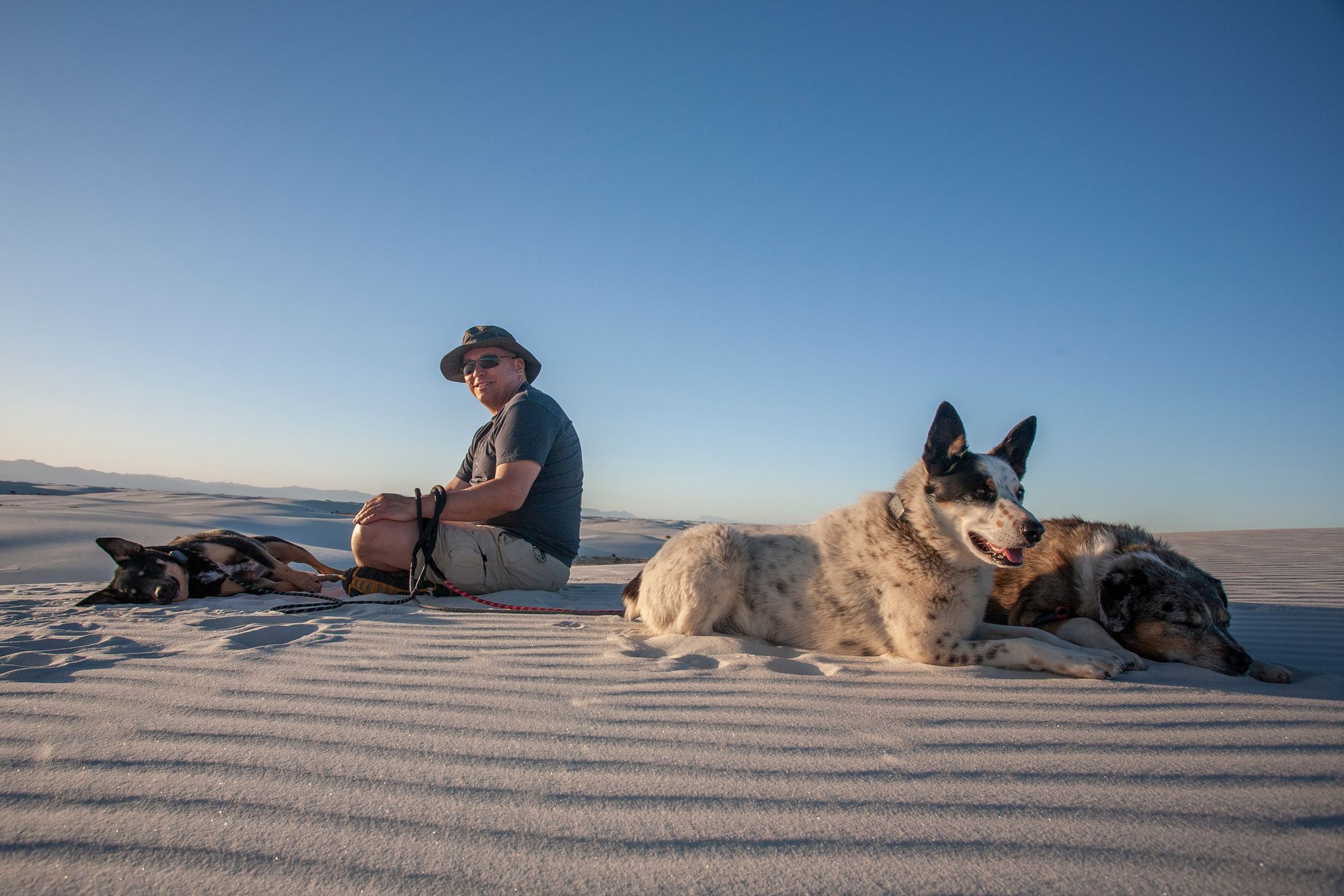 Visiting White Sands National Park with Dogs