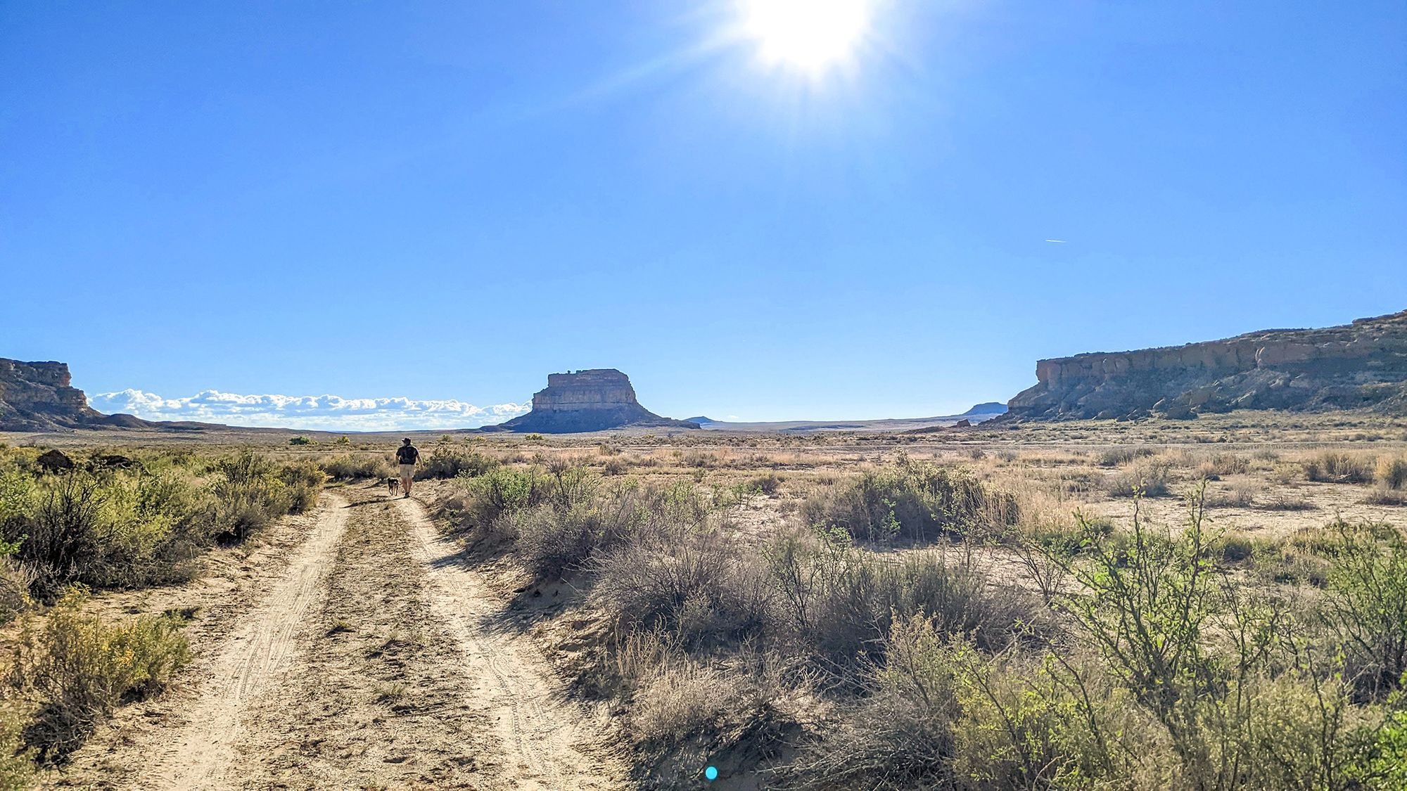 Visiting Chaco Canyon with Dogs