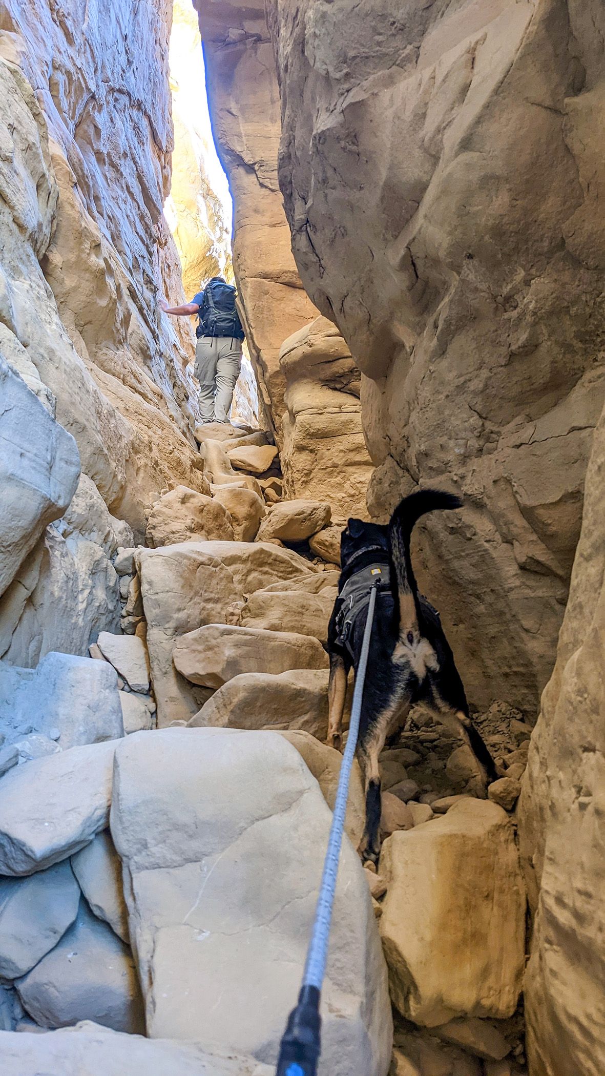 Visiting Chaco Canyon with Dogs