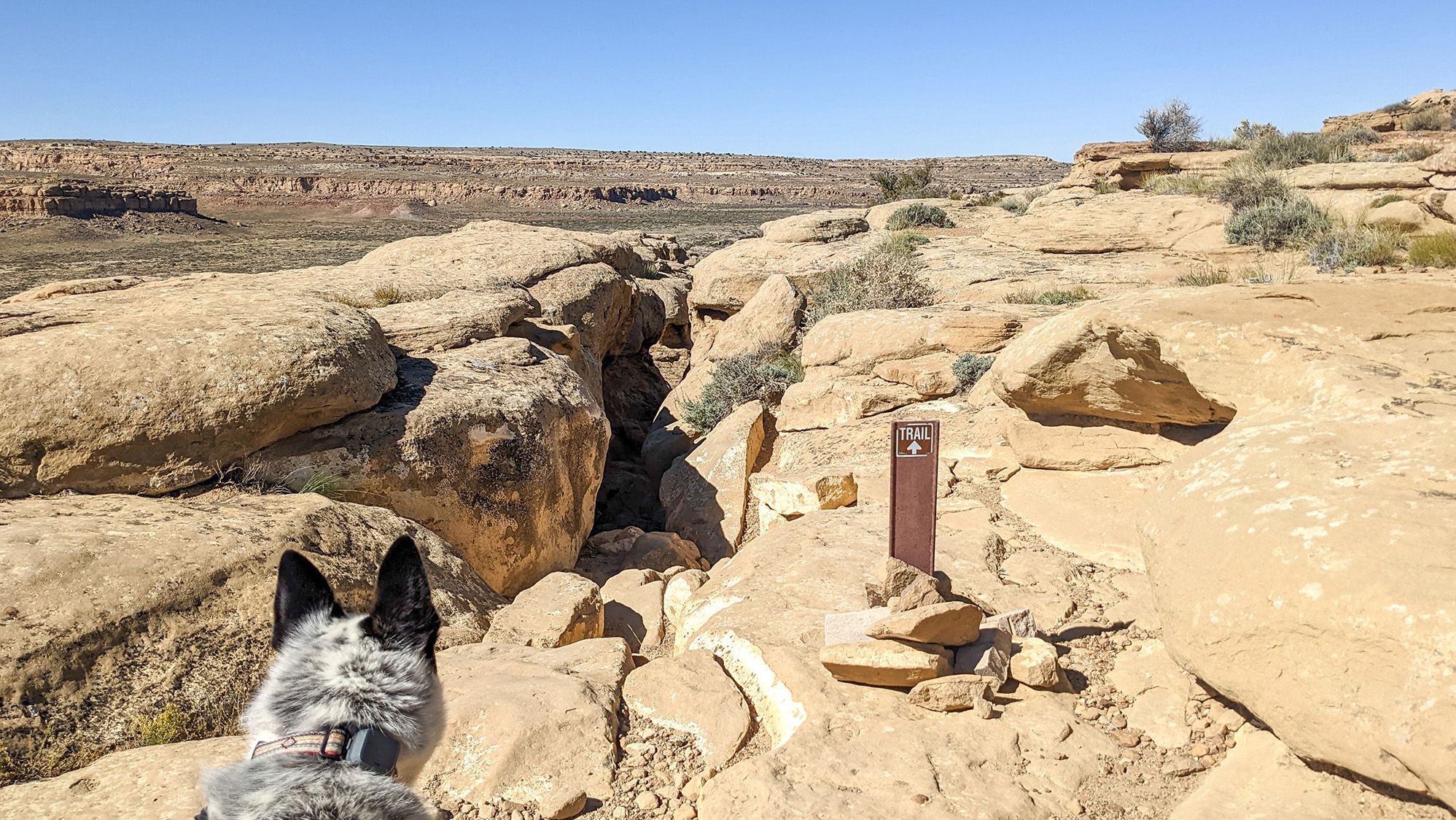 Visiting Chaco Canyon with Dogs