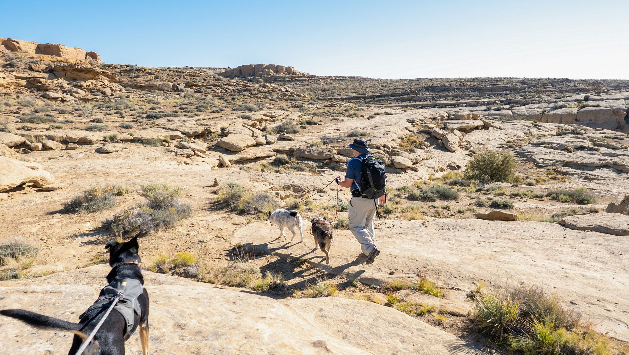 Visiting Chaco Canyon with Dogs