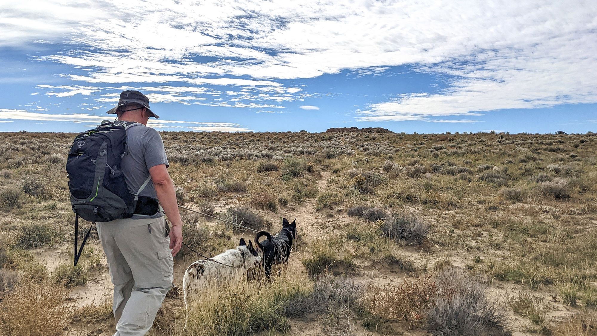 Visiting Chaco Canyon with Dogs