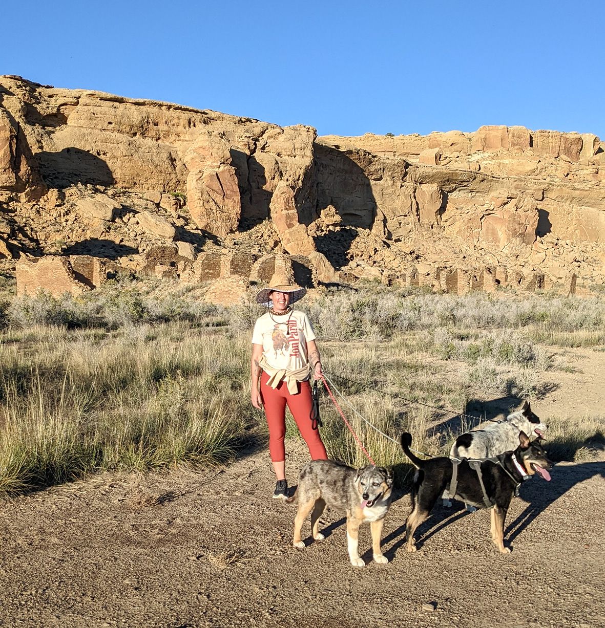 Visiting Chaco Canyon with Dogs