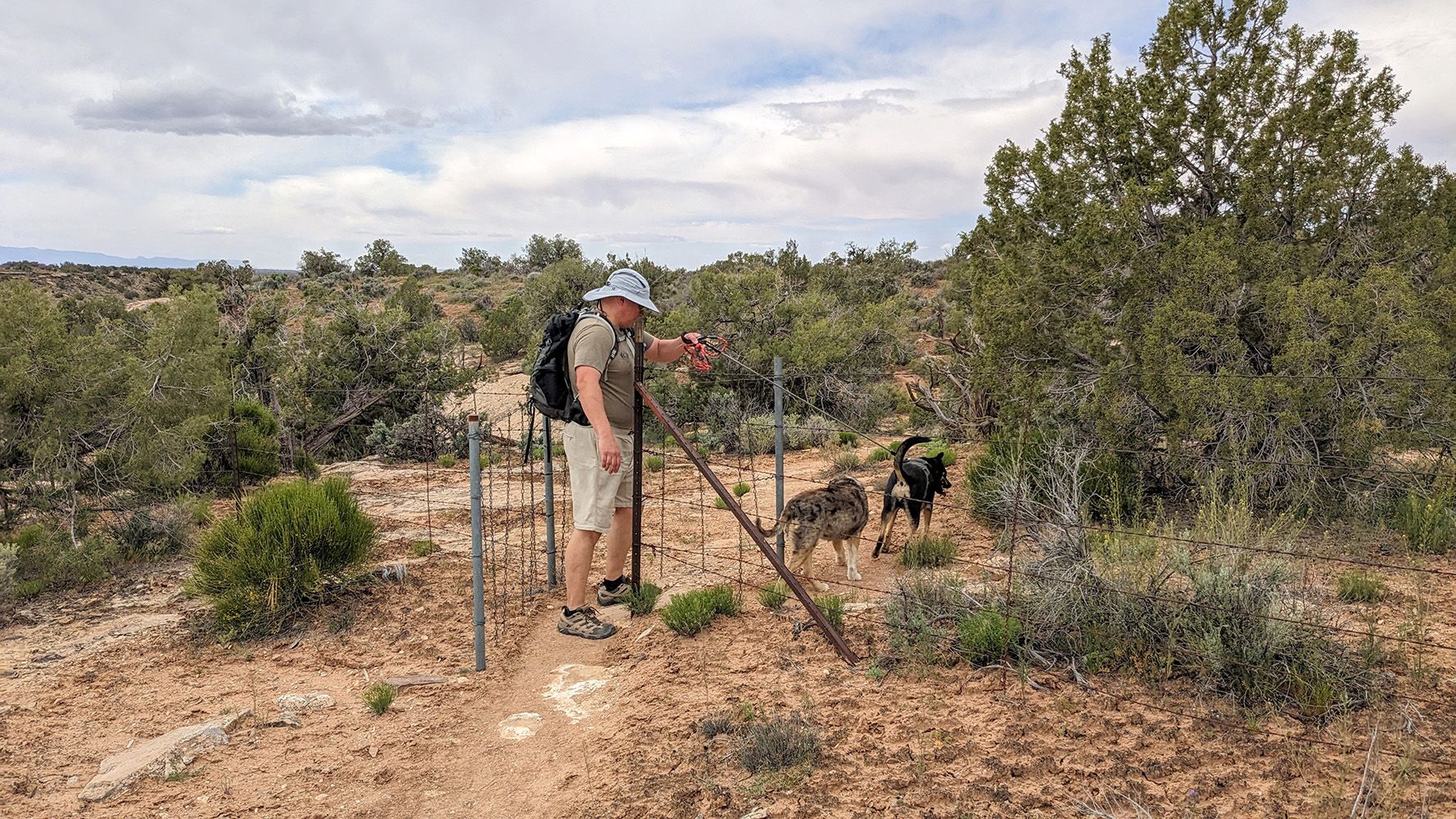 Visiting Hovenweep National Monument with Dogs