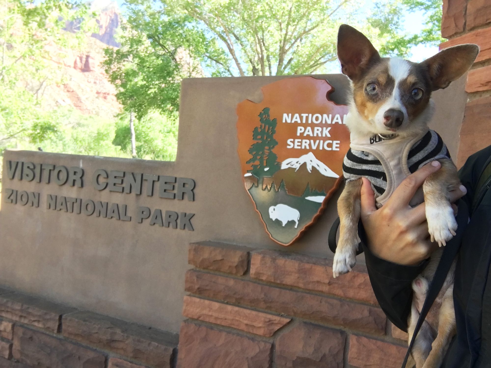 Hike: Pa'rus Trail (Zion National Park)