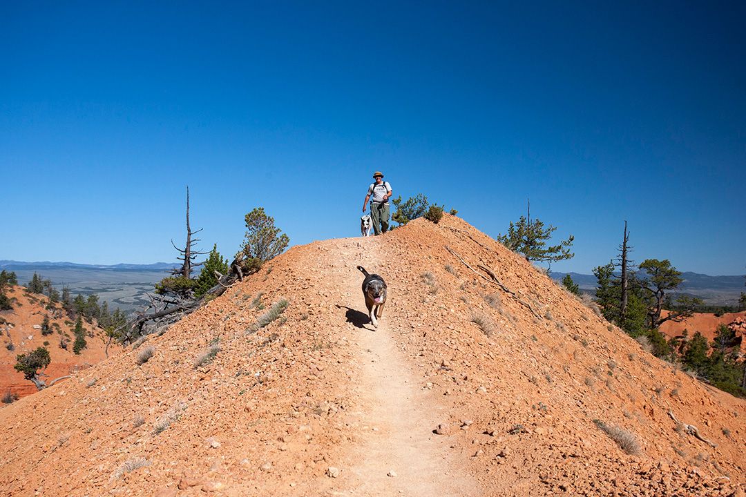 Thunder mountain mountain bike trail new arrivals