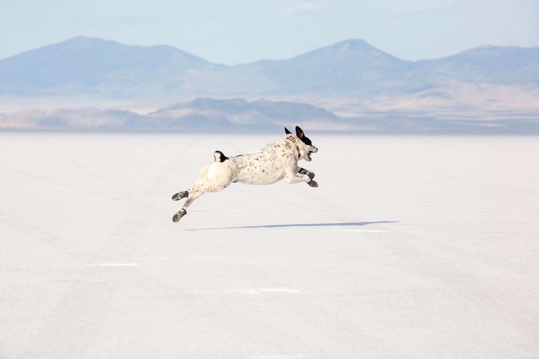 utah salt flat