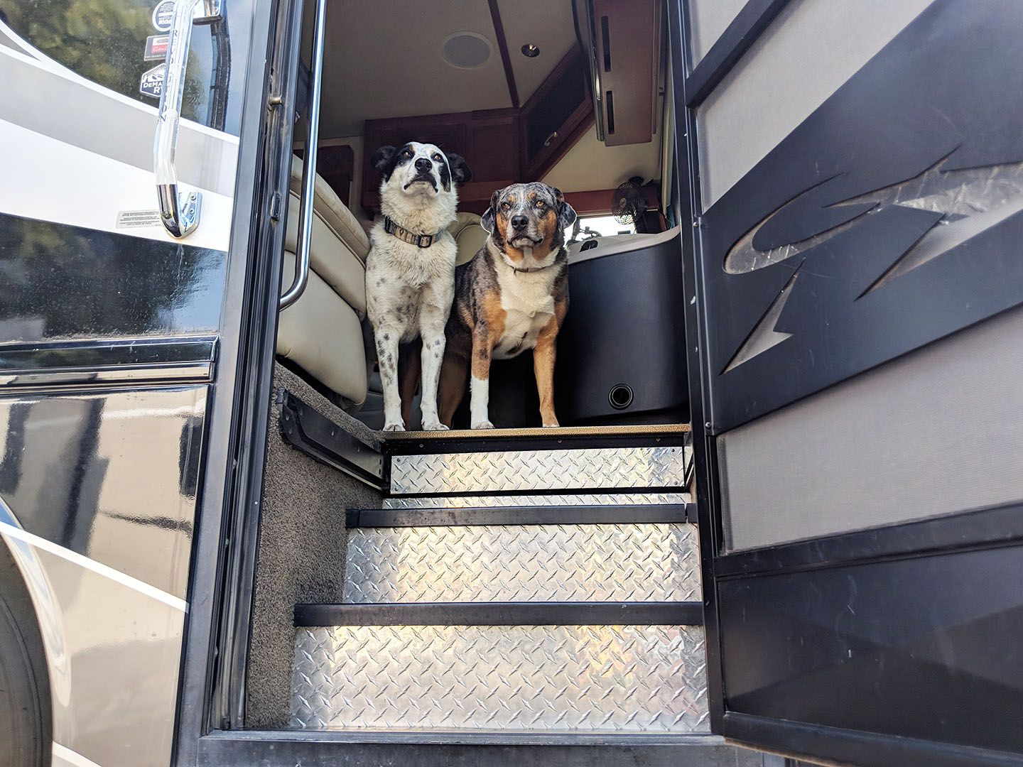 Howto Teach your dog to wait at the RV door