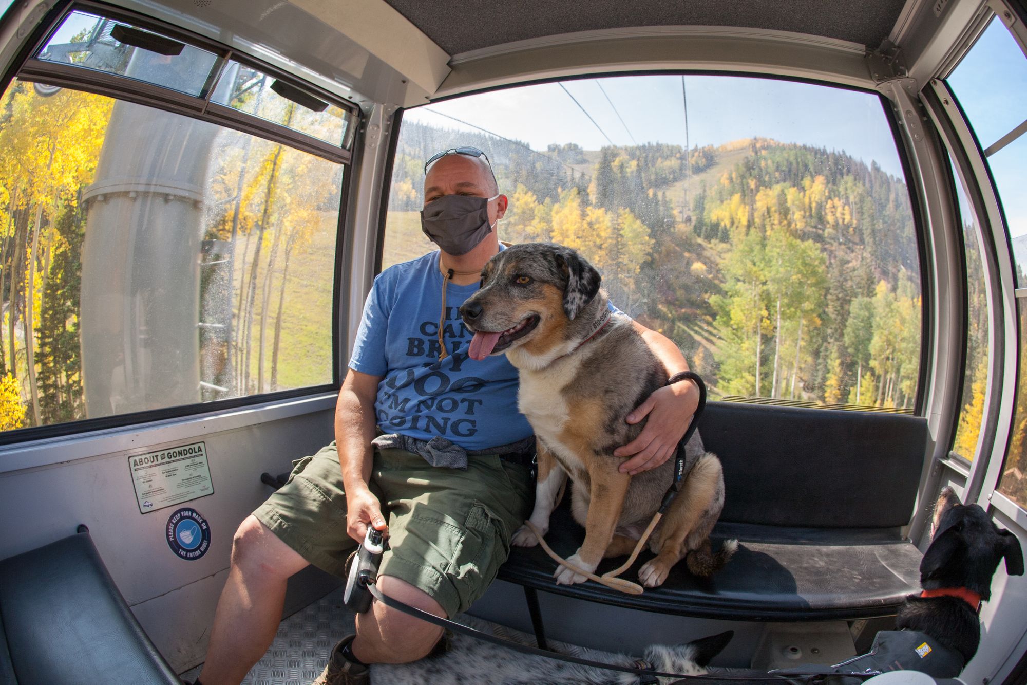 A Dog-Friendly Visit to Telluride, Colorado