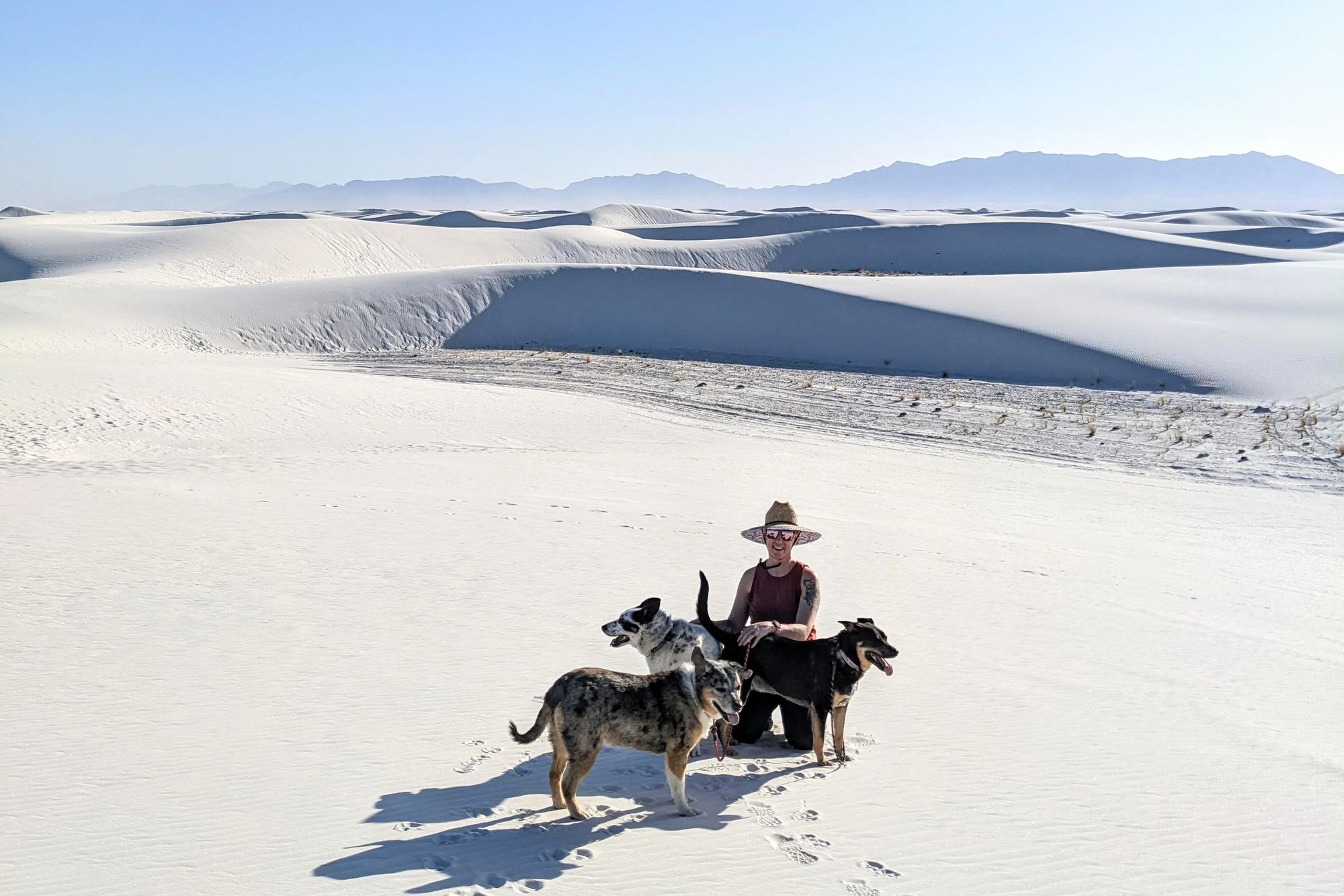 Visiting White Sands National Park with Dogs