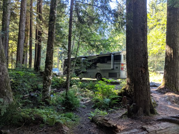 Campsite review: Tinkham Road