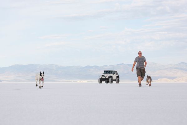 Utah Dog Adventures