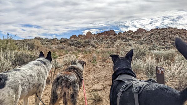 Visiting Chaco Canyon with Dogs