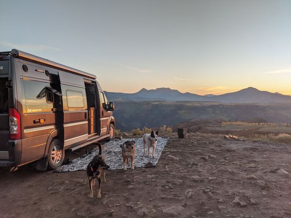 3 Dogs in a Sprinter Van  Van Life in Winter 